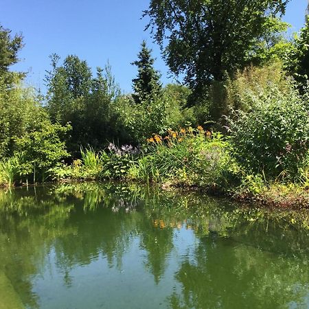 Huisje De Geluksvogel Zorgvlied Екстер'єр фото